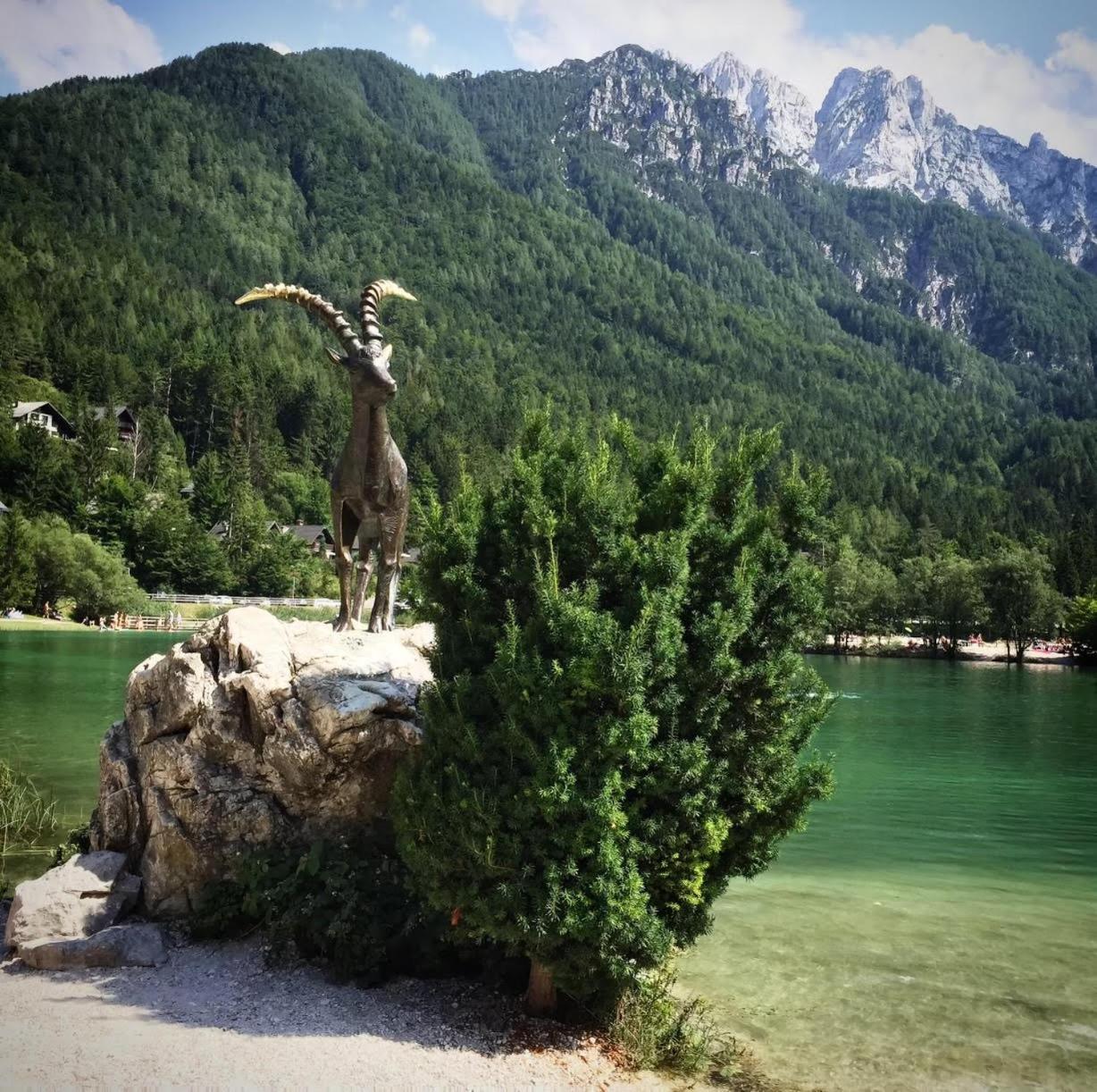 Ski Hut Smucka Kranjska Gora Εξωτερικό φωτογραφία
